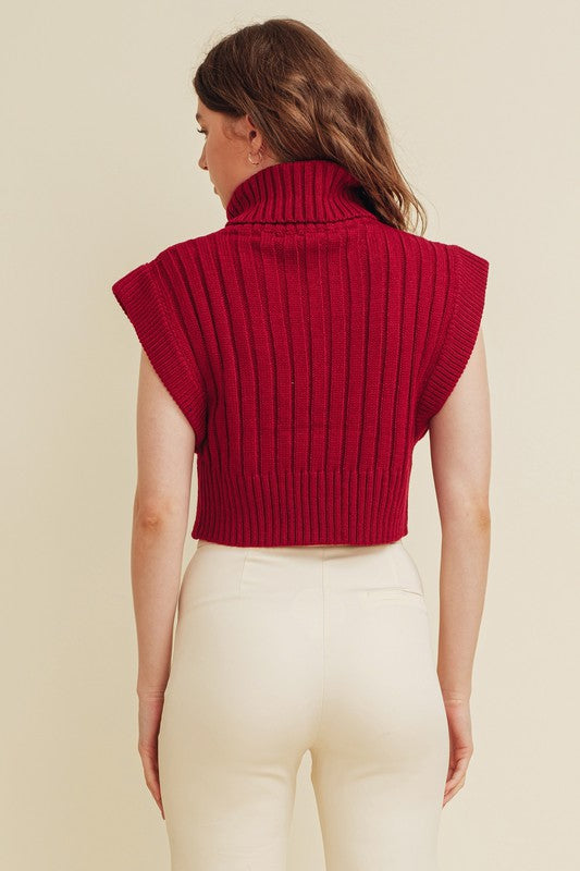 The Brooklyn Cable Sweater Top (maroon)