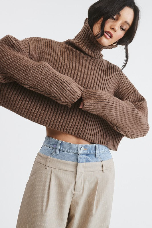 City Crop Rib Knit Turtleneck Top (chocolate)