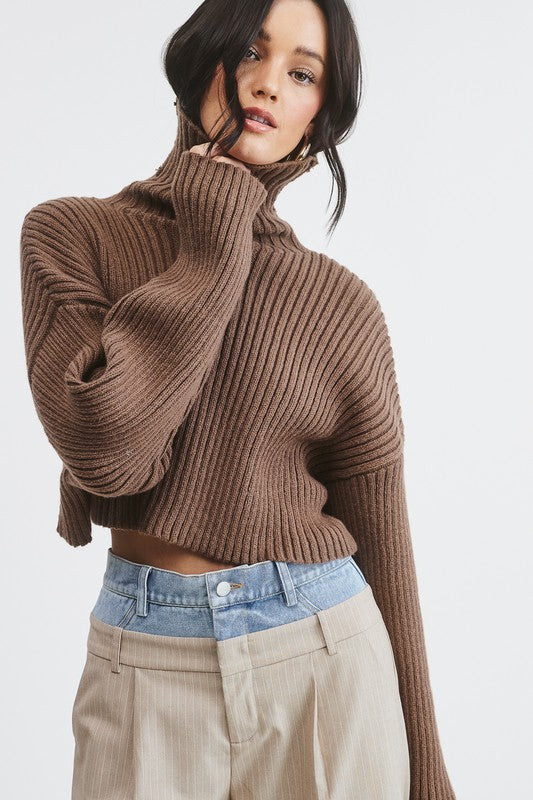 City Crop Rib Knit Turtleneck Top (chocolate)