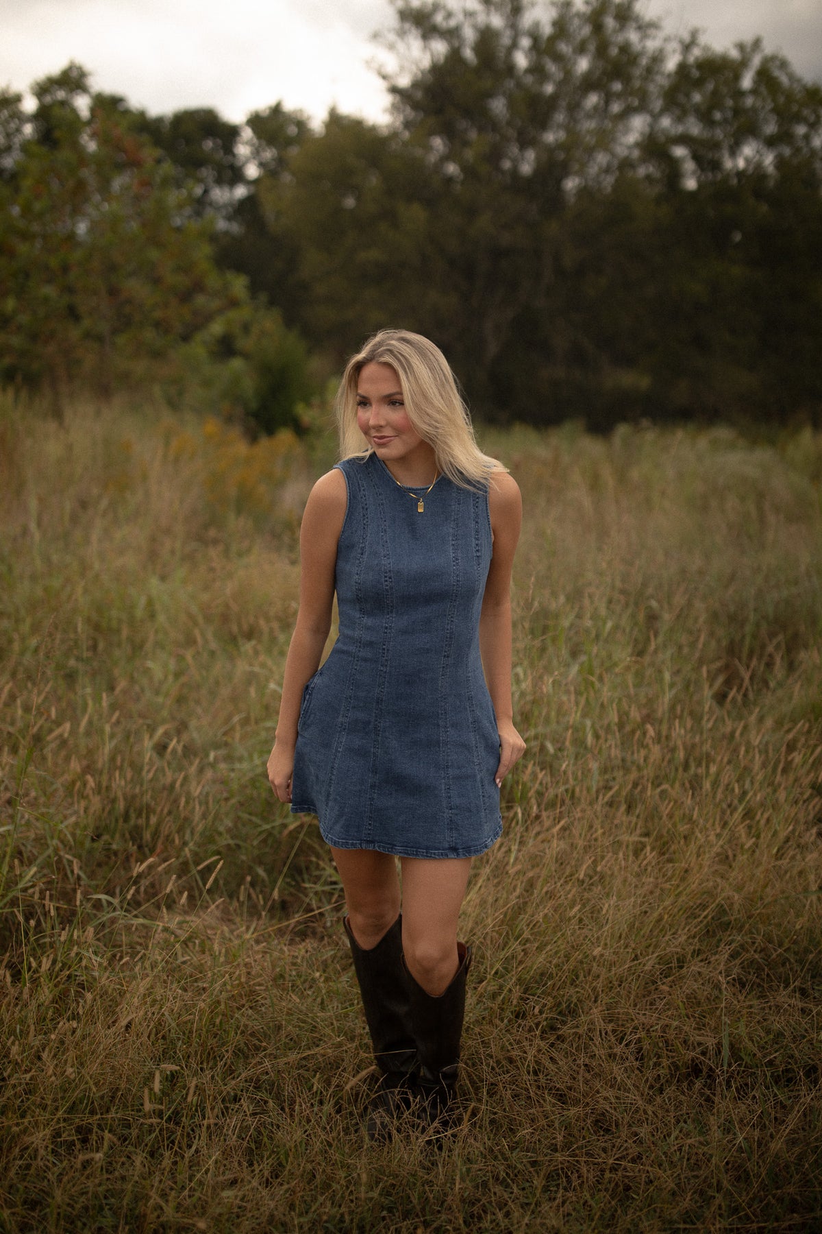 Brooklyn Seamed Denim Dress
