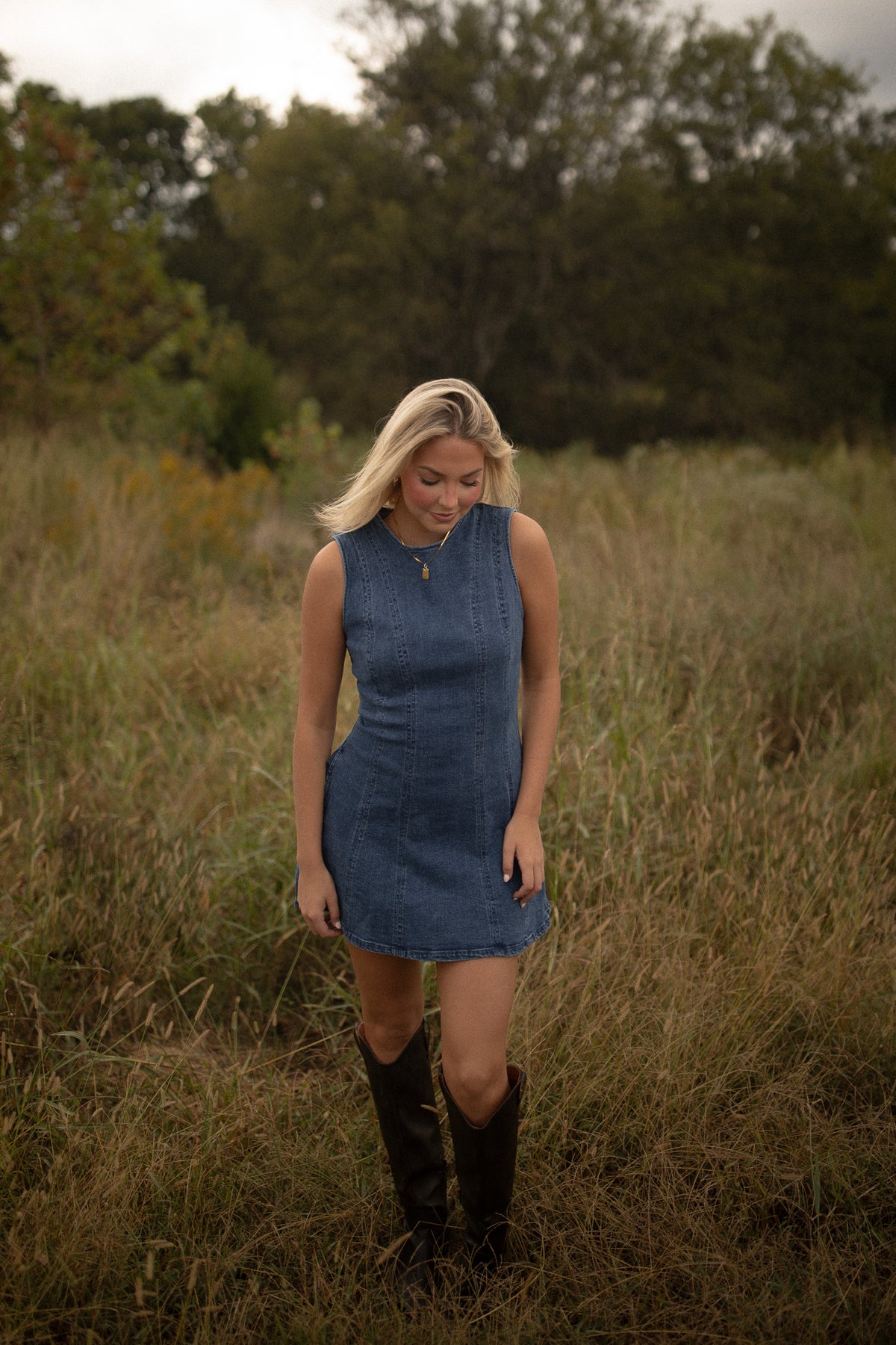 Brooklyn Seamed Denim Dress