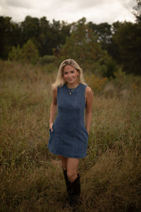 Brooklyn Seamed Denim Dress