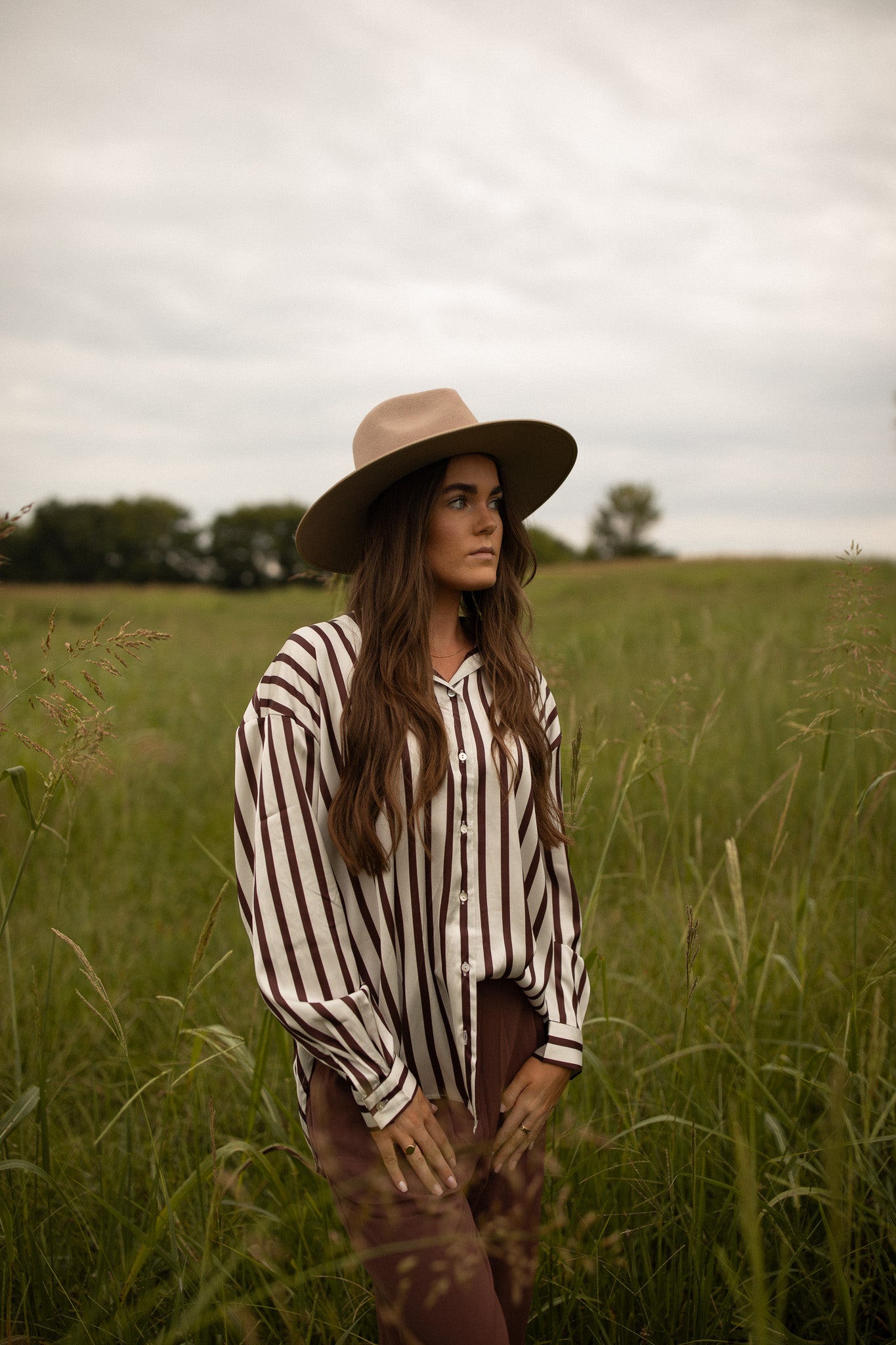 Chocolate Striped Satin Shirt