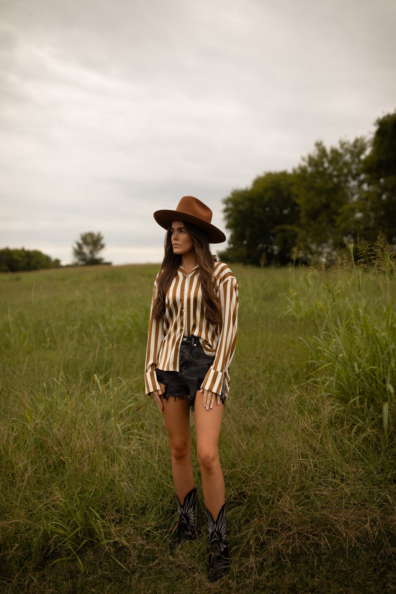 Signature 8 distressed Black Shorts