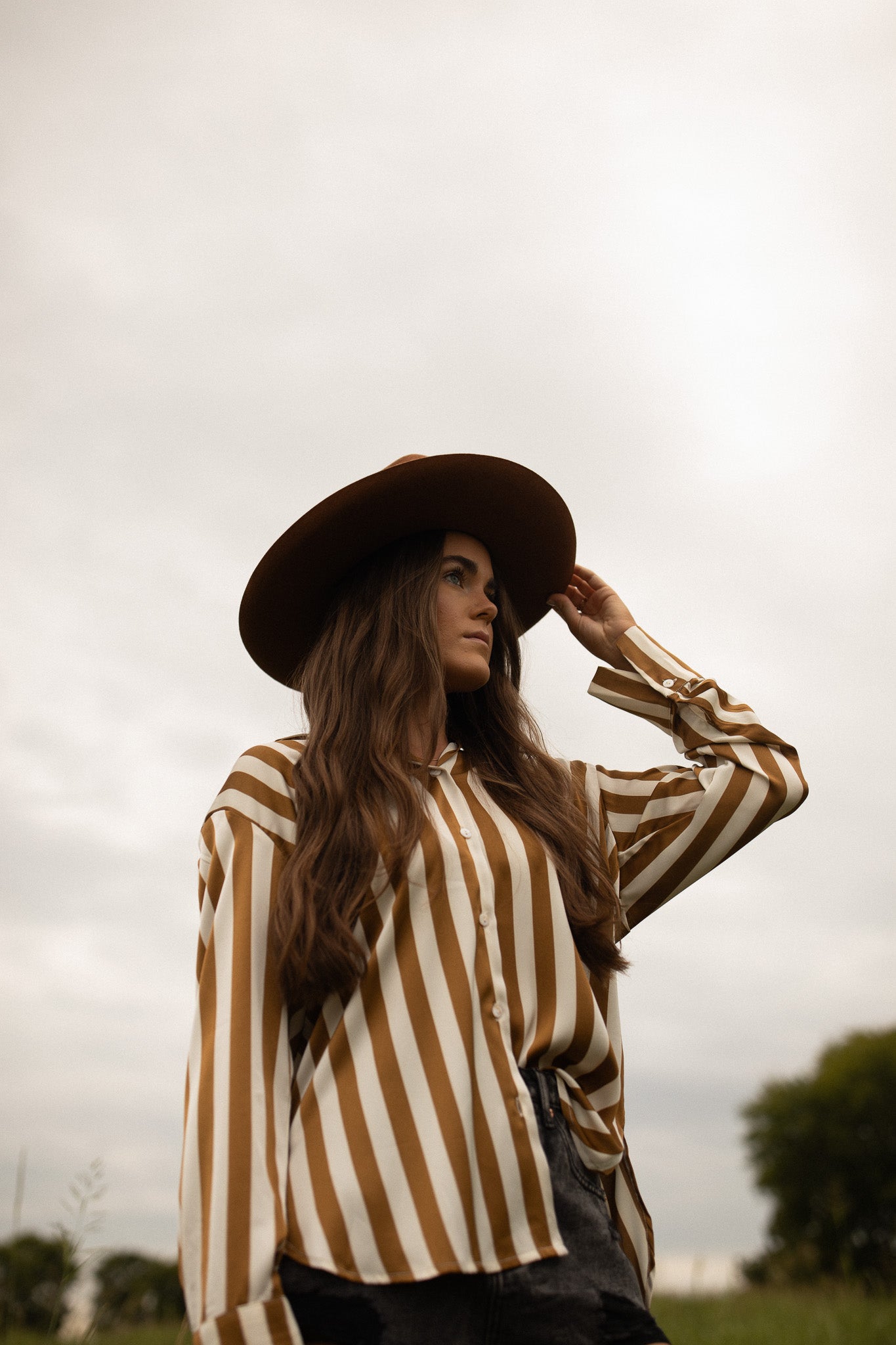 Toffee Striped Satin Top