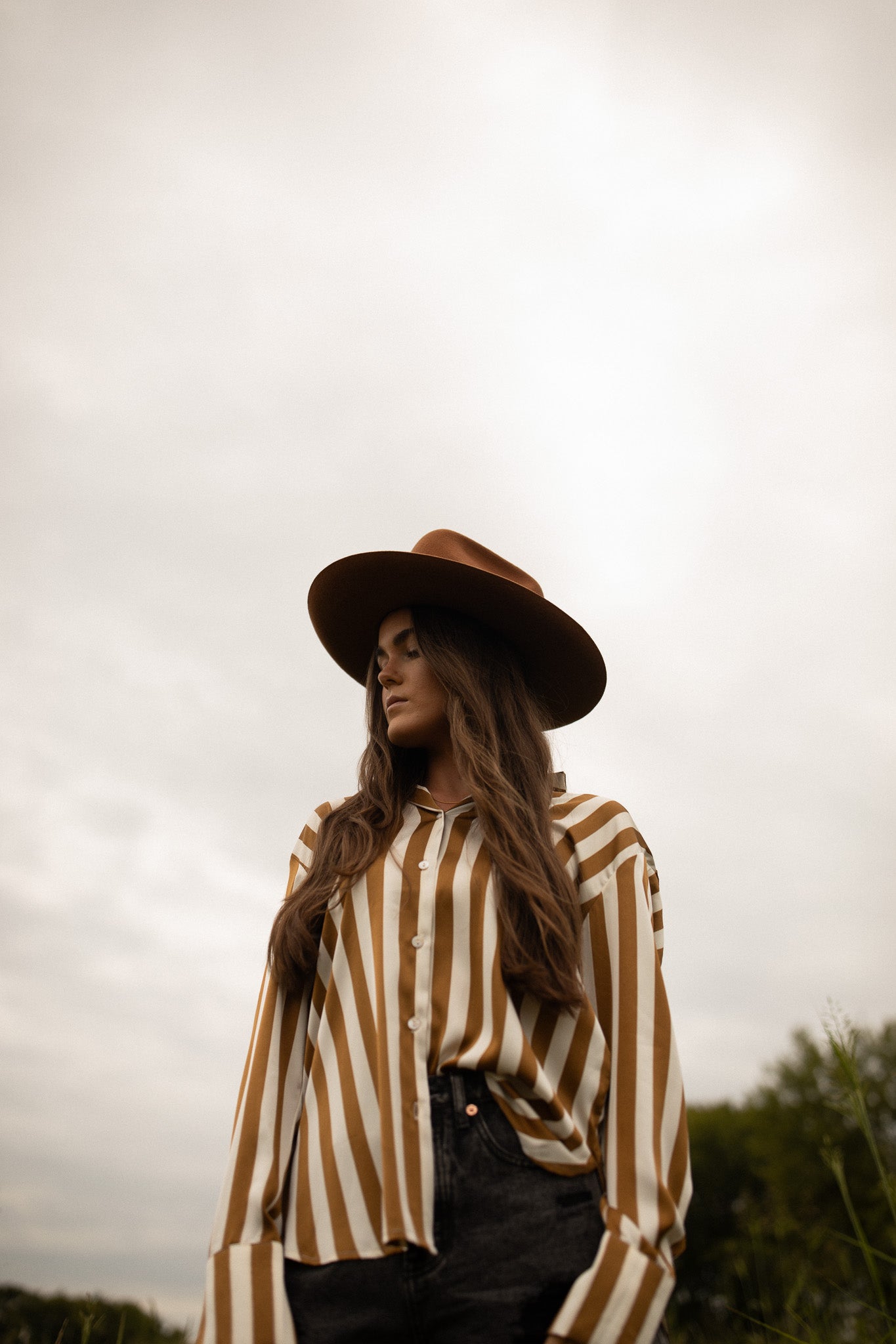 Toffee Striped Satin Top