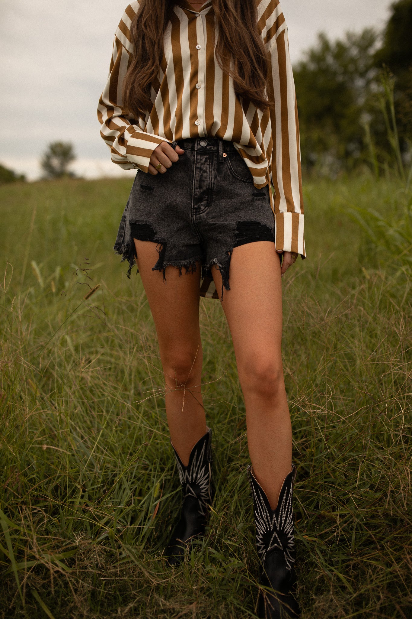 Signature 8 distressed Black Shorts