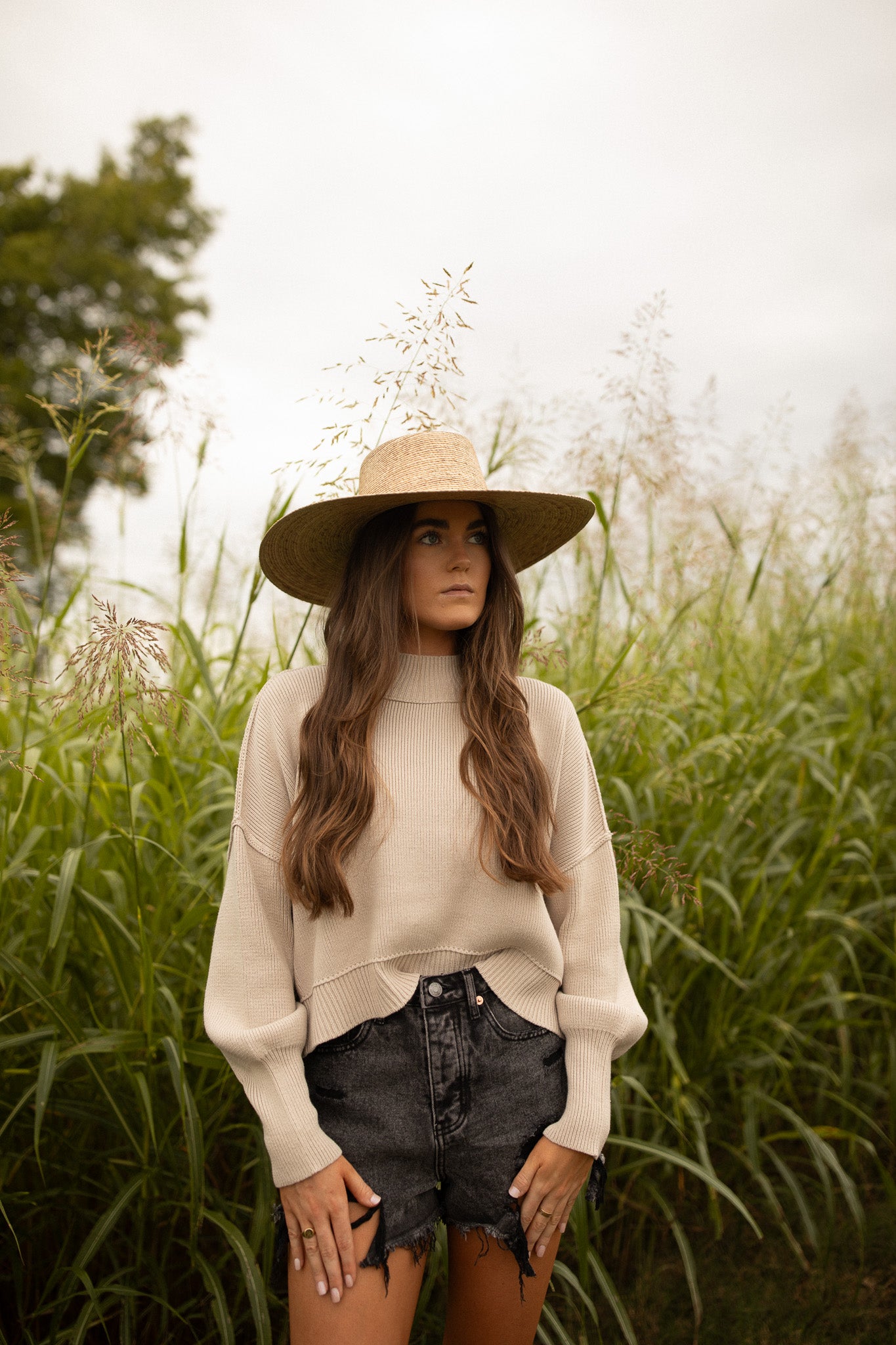 The Polene Sweater (sand beige)