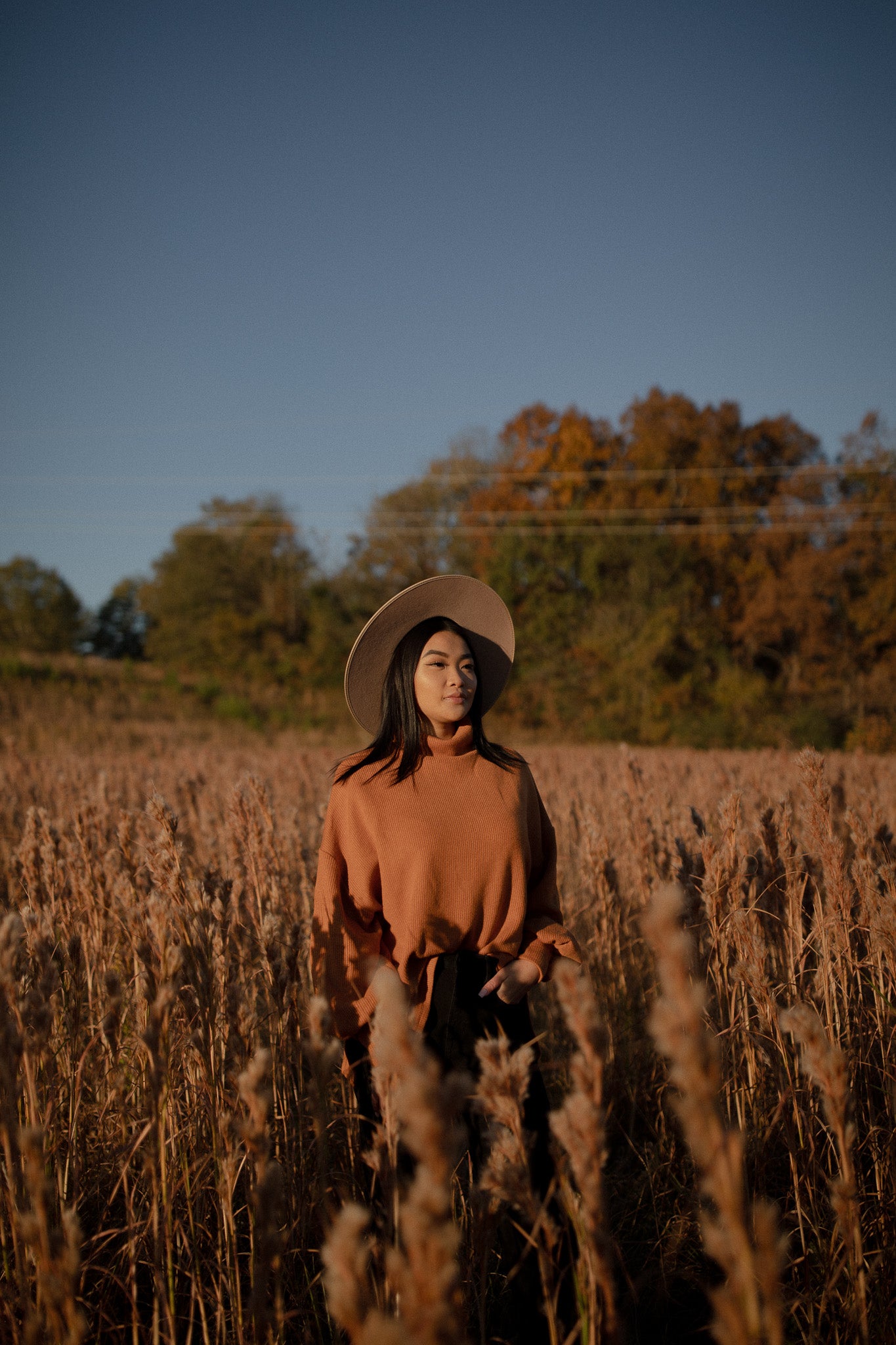 Balloon Sleeve Sweater (camel)