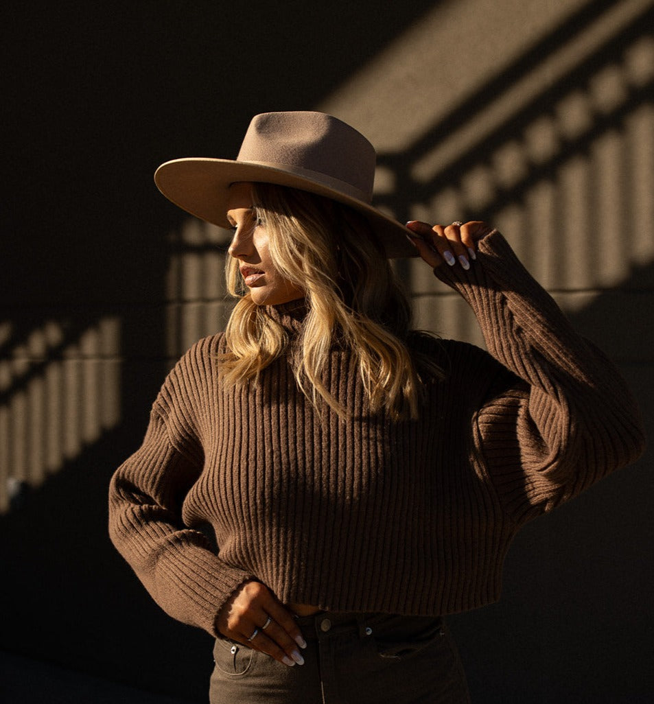 City Crop Rib Knit Turtleneck Top (chocolate)