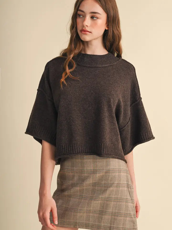 Parks Boxy Knit Sweater (espresso)