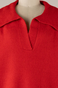 Roxie Collared Sweater (red)
