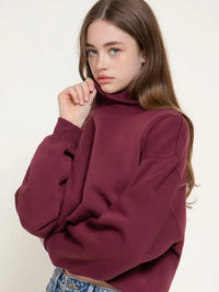 Turtleneck Sweater (burgundy)