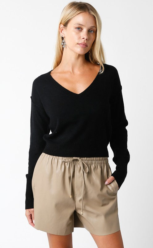 Chelsea V-Neck Sweater (black)