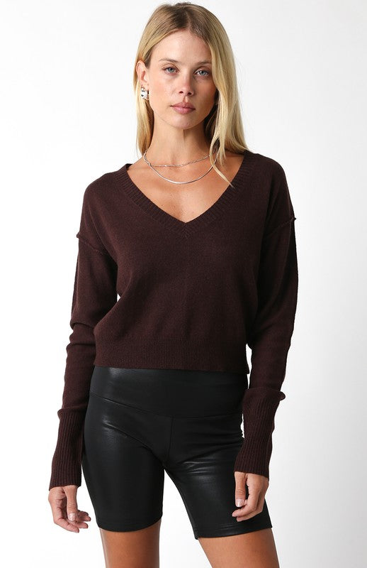 Chelsea V-Neck Sweater (coffee bean)