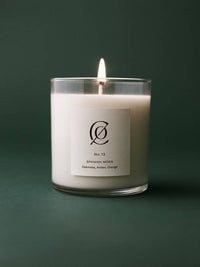 No. 13 Spanish Moss Soy Candle