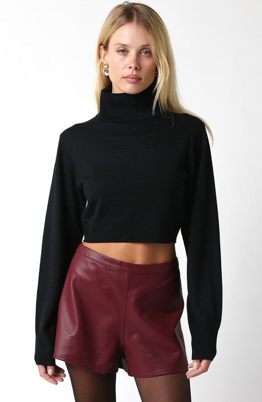 Emma Cropped Turtleneck Sweater (black)