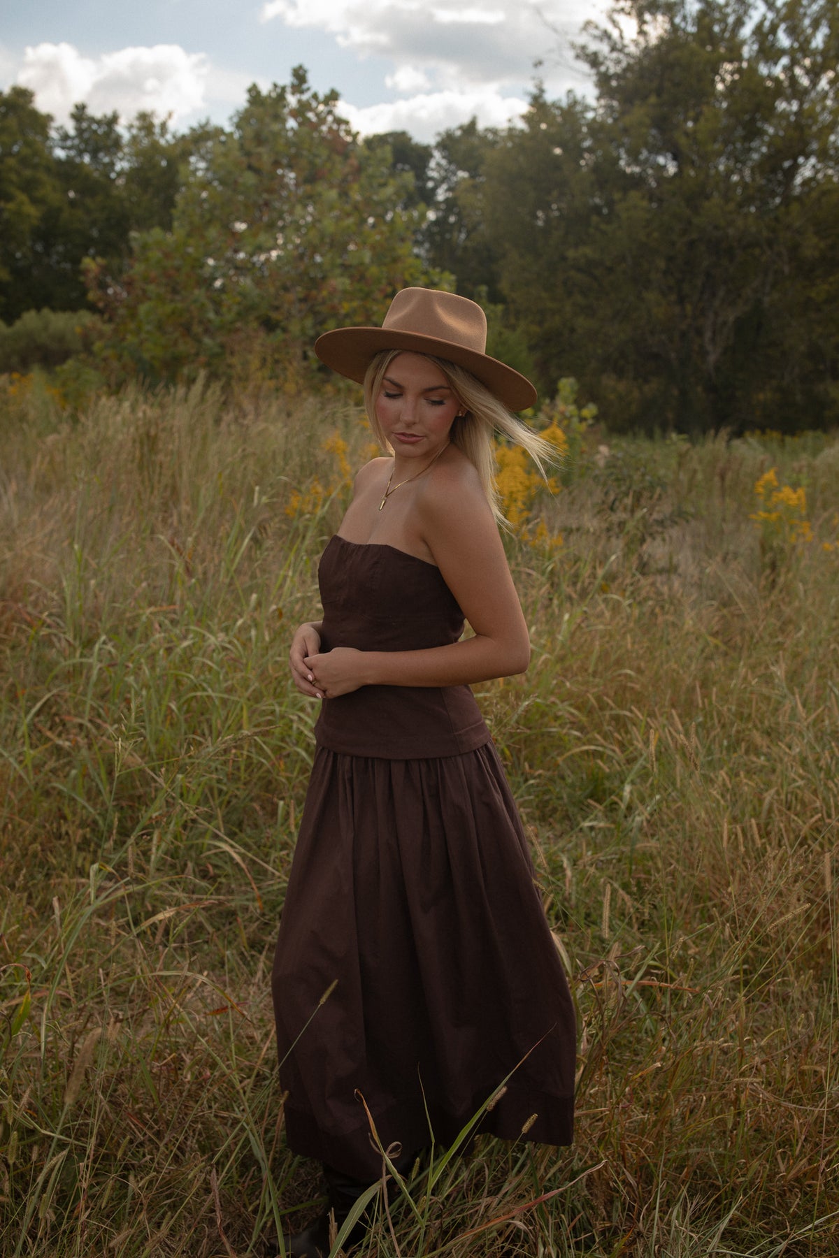 Cortney Corset Dress (brown)