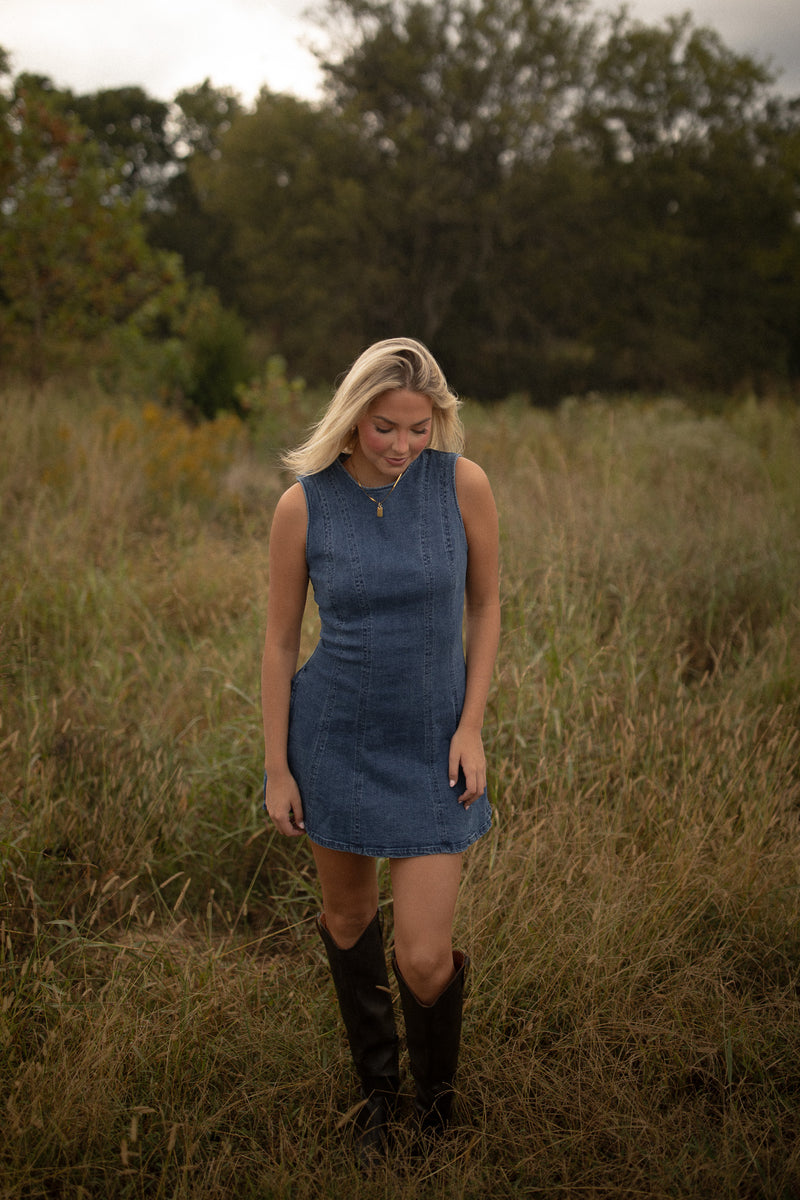 Brooklyn Seamed Denim Dress