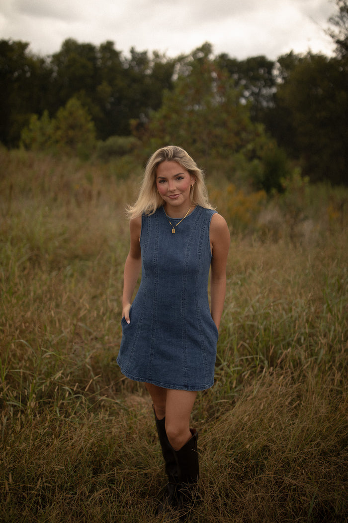 Brooklyn Seamed Denim Dress