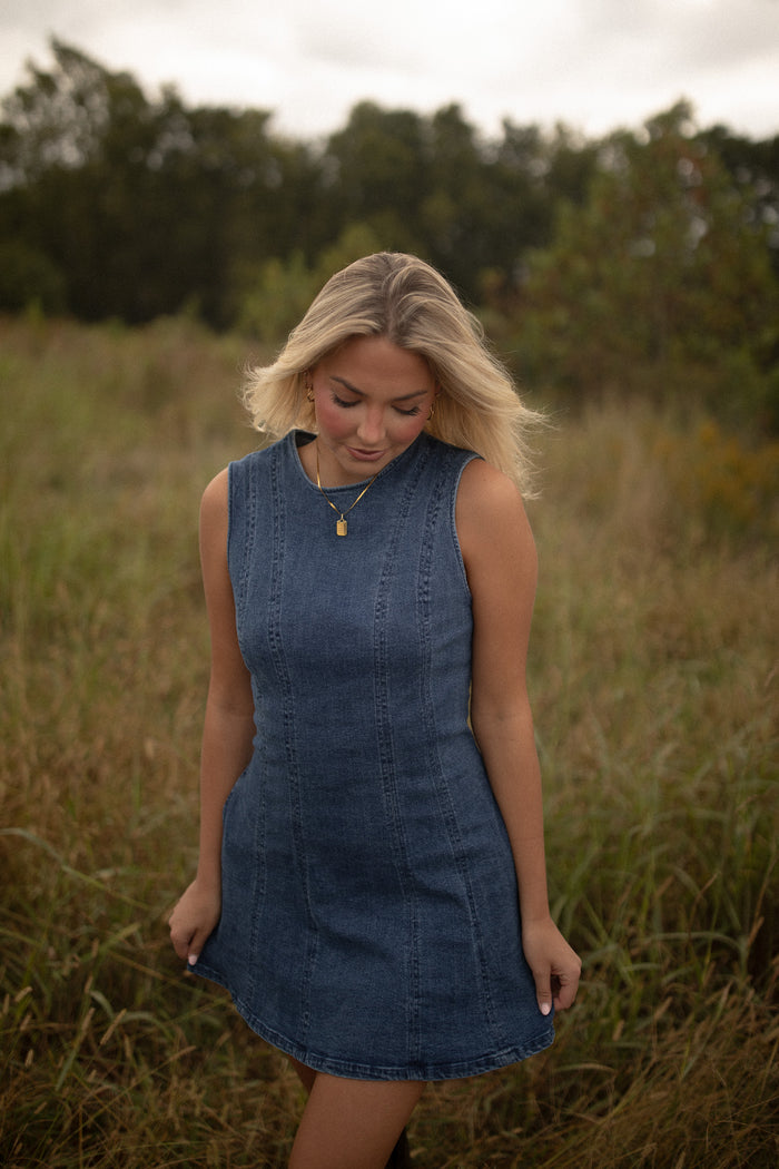 Brooklyn Seamed Denim Dress