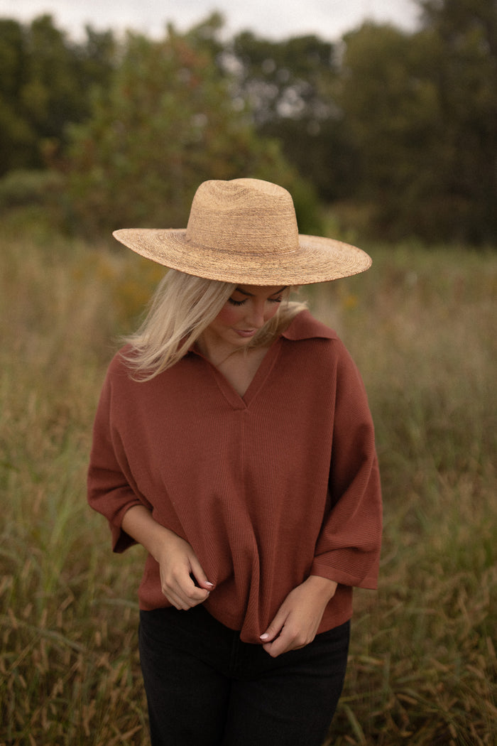 The Townes Collared Top (brown)
