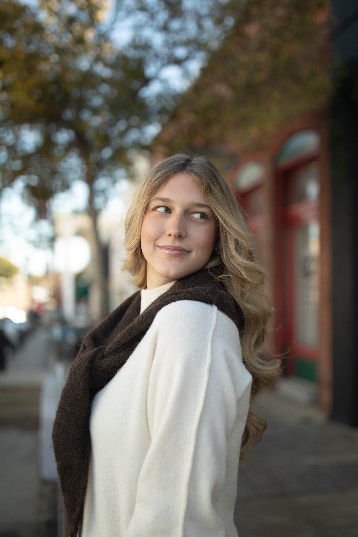 Westover Triangle Scarf (chocolate)