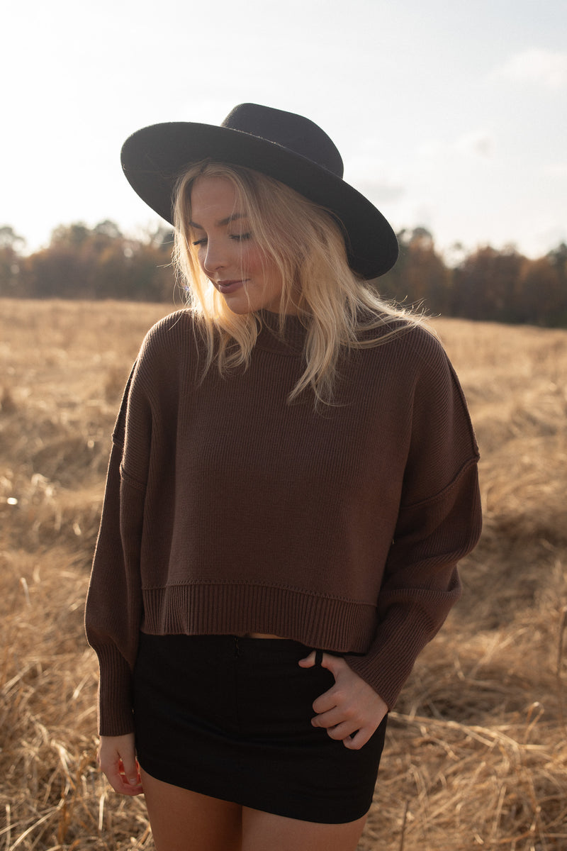Cropped Boxy Sweater (brown)