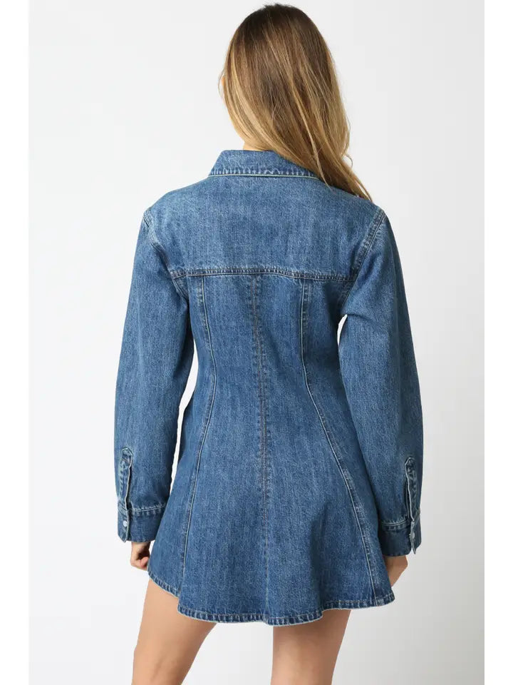 Lawson Denim Shirt Dress