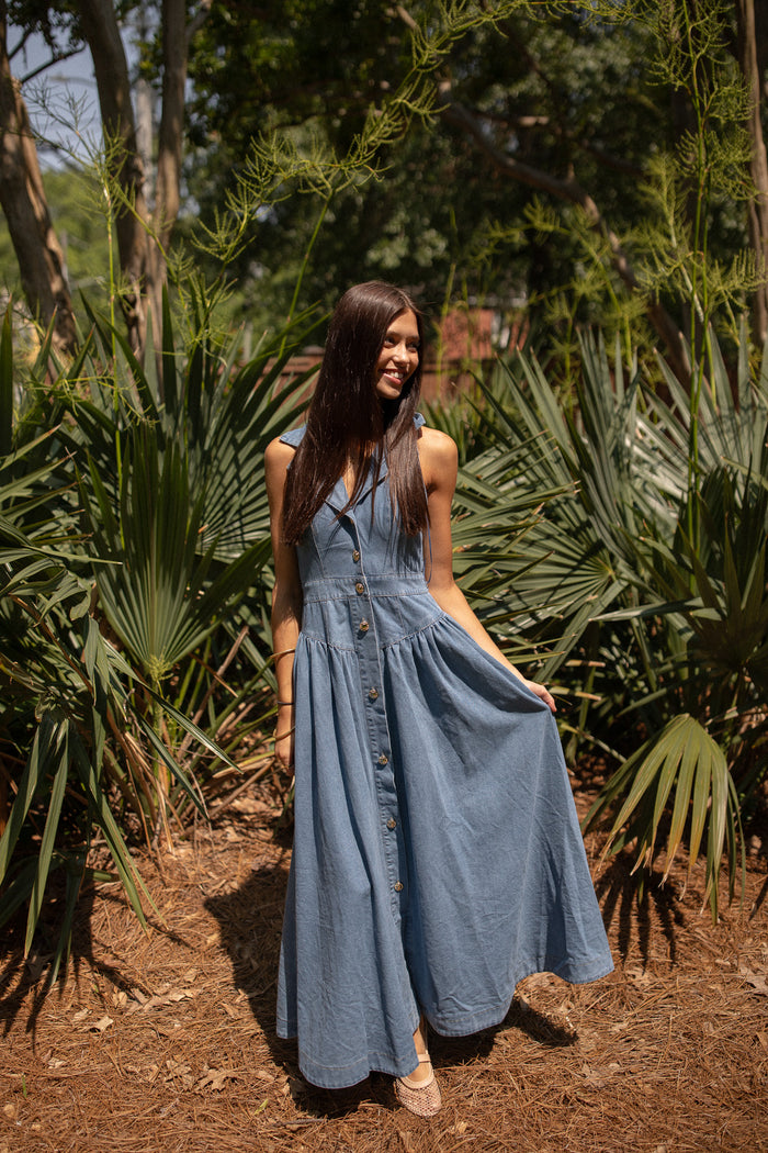 Beth Denim Dress
