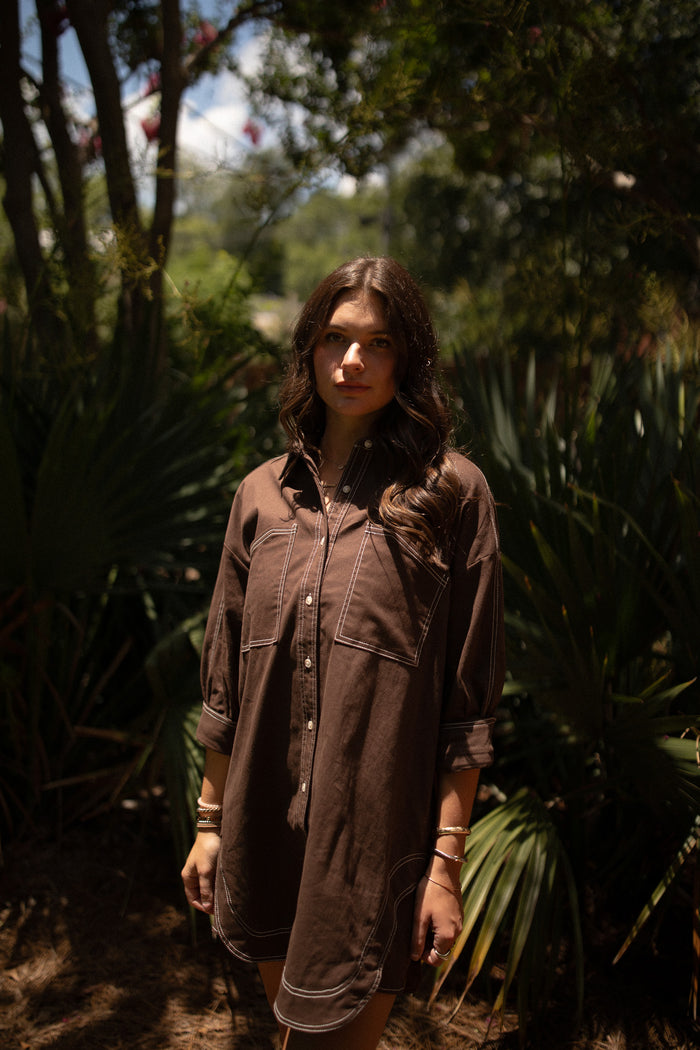 Sebastian Shirt Dress (brown)