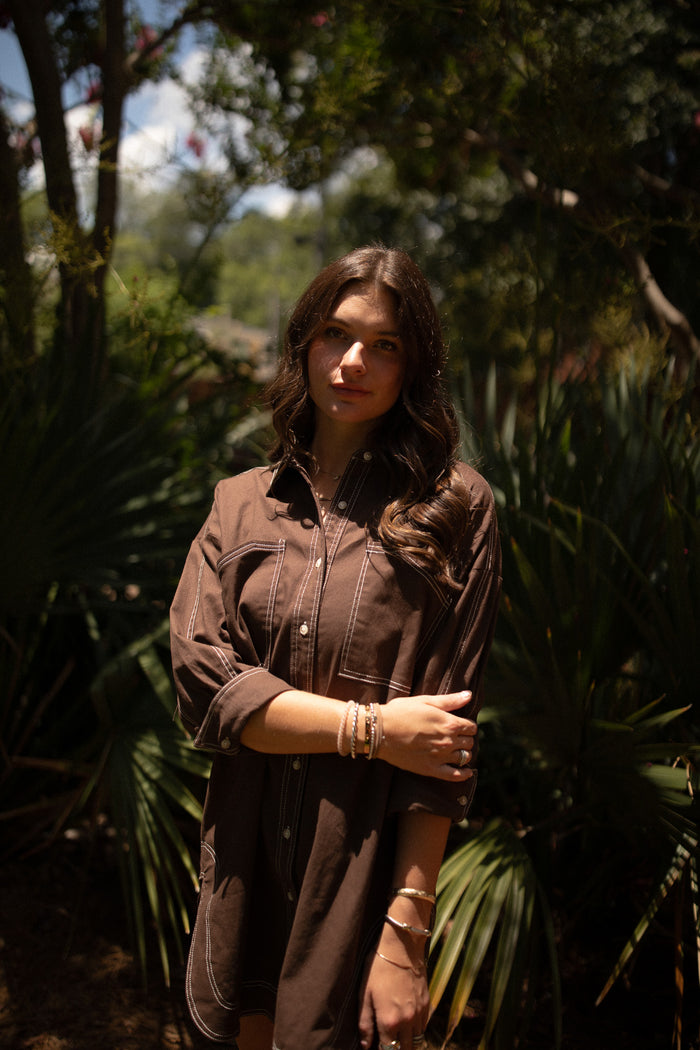Sebastian Shirt Dress (brown)