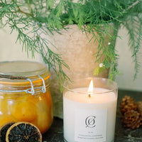 S. 01 Charleston Christmas Candle