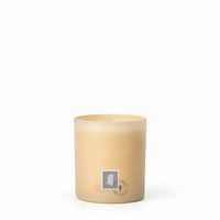 Greetings From Mississippi “Southern Comfort” Candle