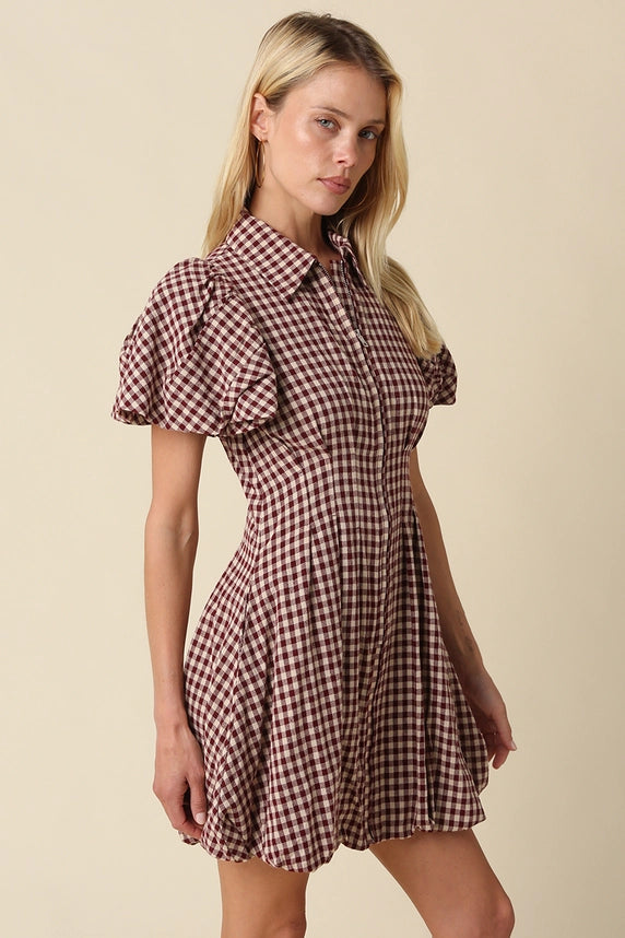 Owen Gingham Dress (maroon)