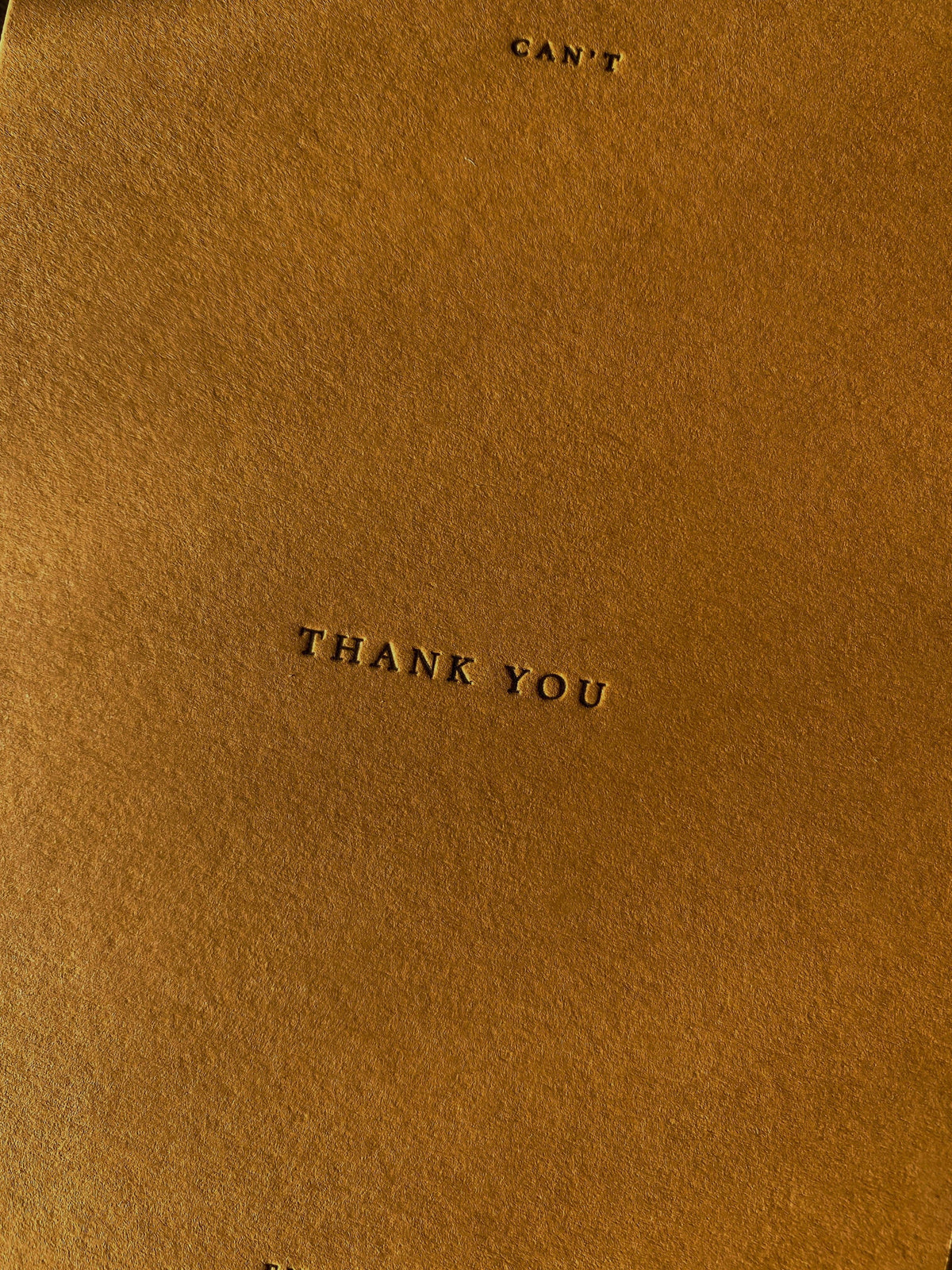 Thank You No. 01