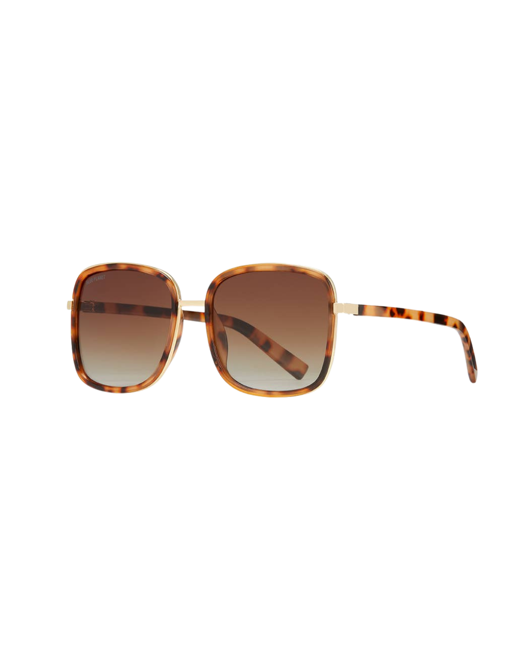 Brynne -  Honey Tortoise/ Gradient Brown Polarized