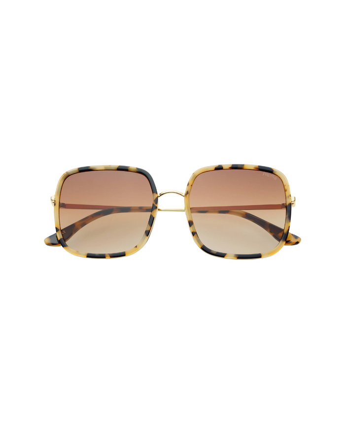 Cosmo Acetate Womens Square Sunglasses