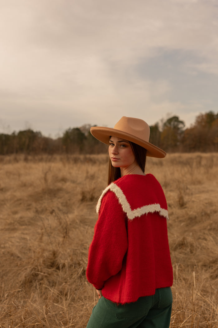 Bowie Red Collared Sweater