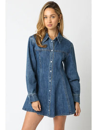Lawson Denim Shirt Dress