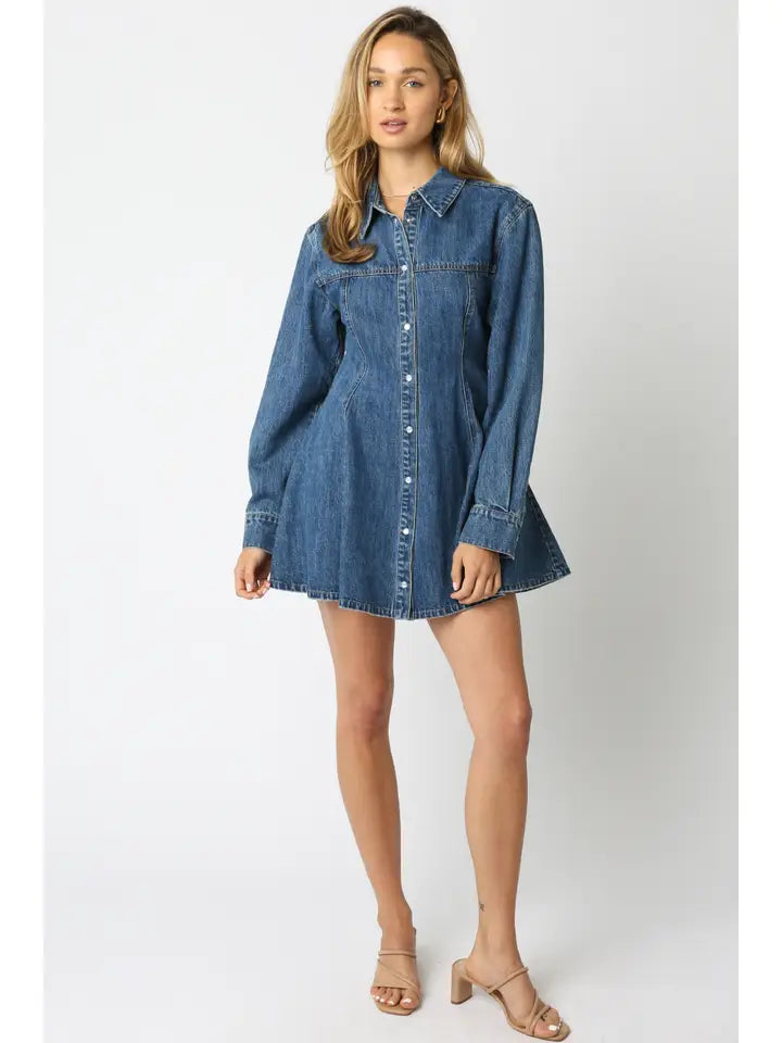 Lawson Denim Shirt Dress