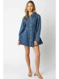 Lawson Denim Shirt Dress